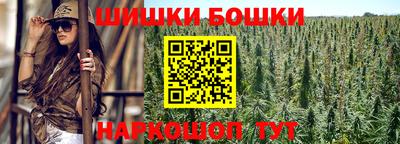 индика Балашиха