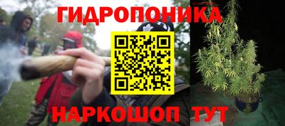 индика Балашиха