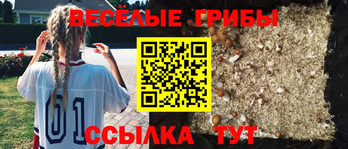 Галлюциногенные грибы GOLDEN TEACHER Донской